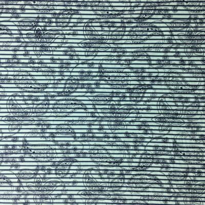 Etro Desenli Süper Poplin Kumaş