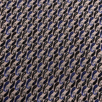Etro Şal Desenli Poplin Kumaş